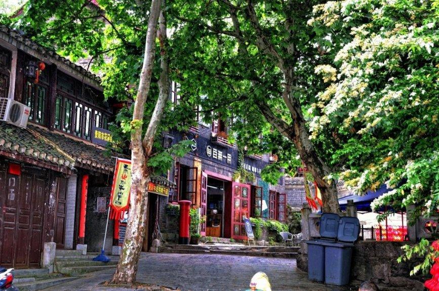 中国有多少个罗程