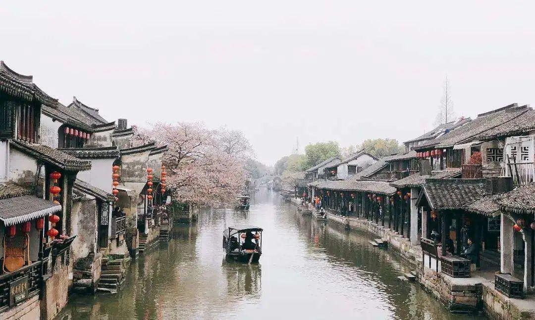 小艾比当营养师