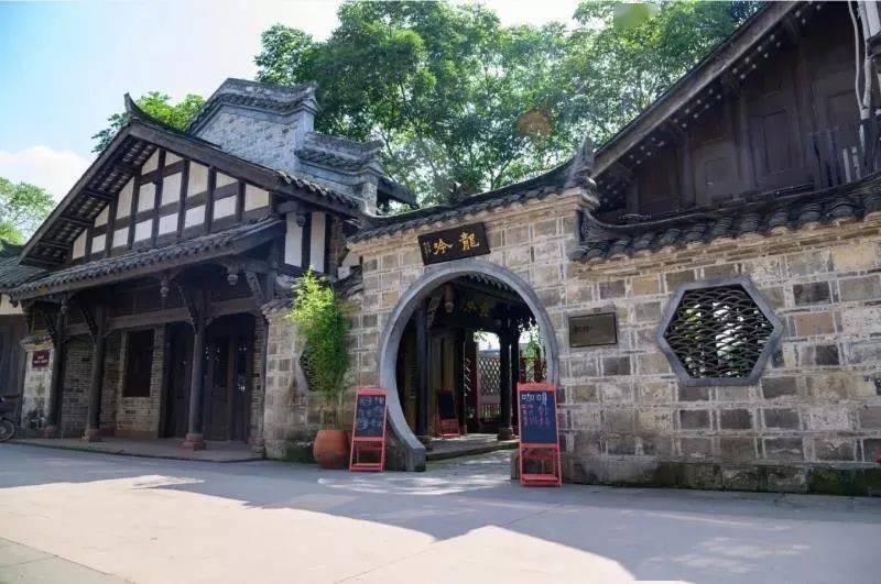 笃行不怠谋发展 踔厉奋发谱新篇